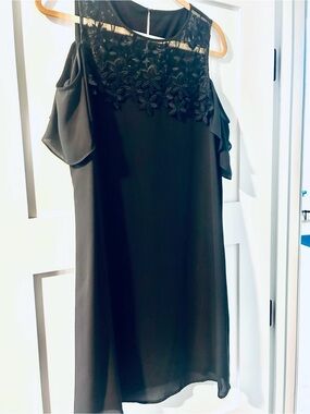 Elegant Lace Yoke Dress